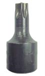 Torx Bit 3/8 Drive T-50 USA