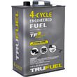 TruFuel 4 Cycle Premix Ethanol Free Fuel 110oz