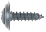 Philips Oval Head Trim Screw 10pc