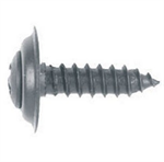 Philips Oval Head Trim Screw