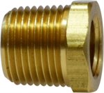 1/2^x3/8^ Brass Pipe Bushing (28107L)