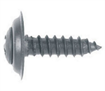 Philips Oval Head Trim Screw 10pc