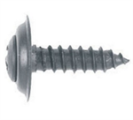 Philips Oval Head Trim Screw